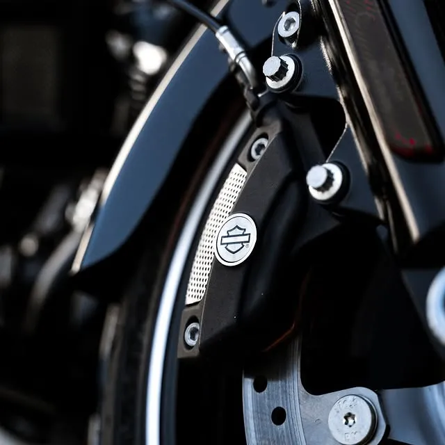 HARLEY-DAVIDSON - asset 2